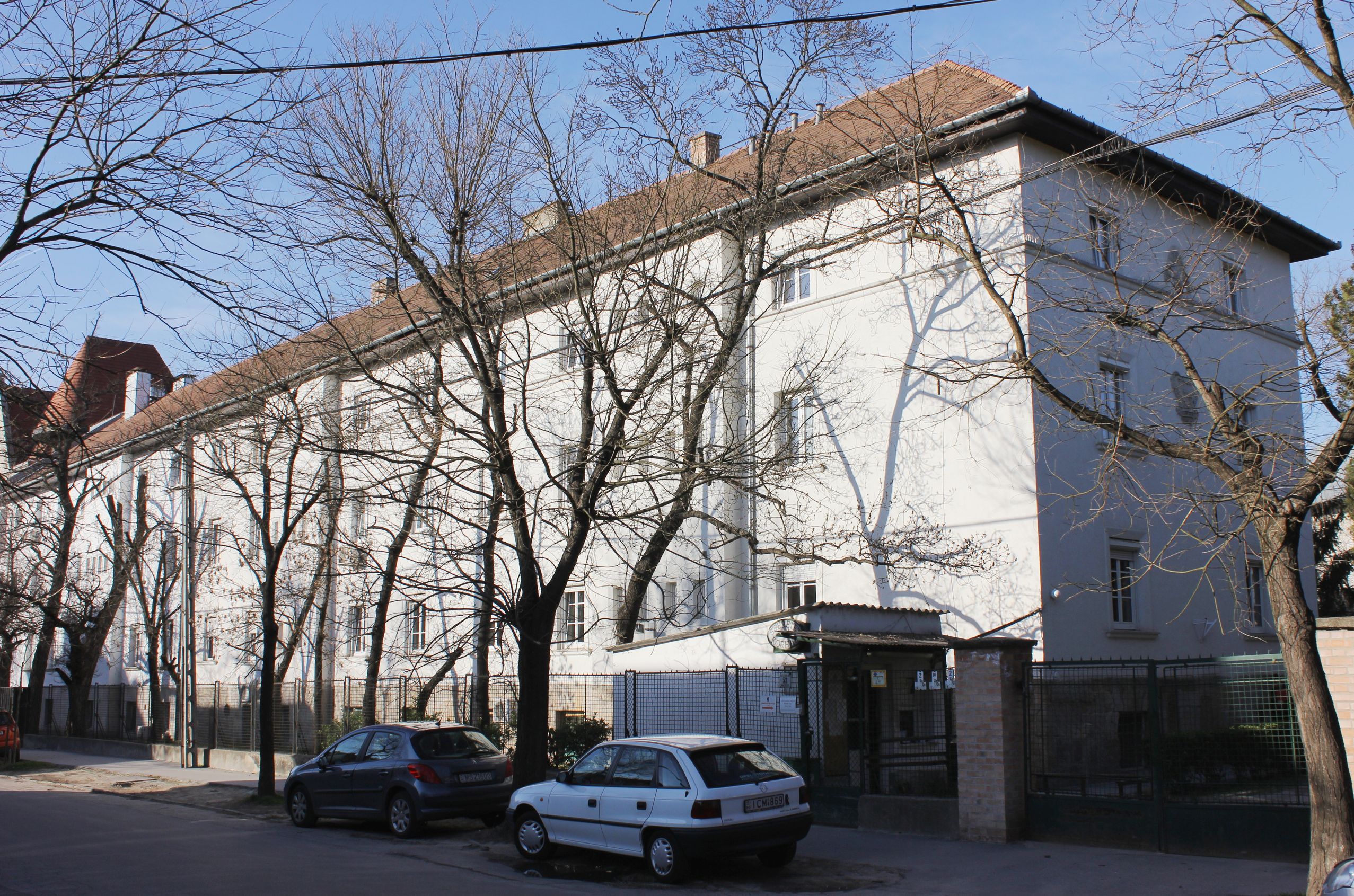 Kép