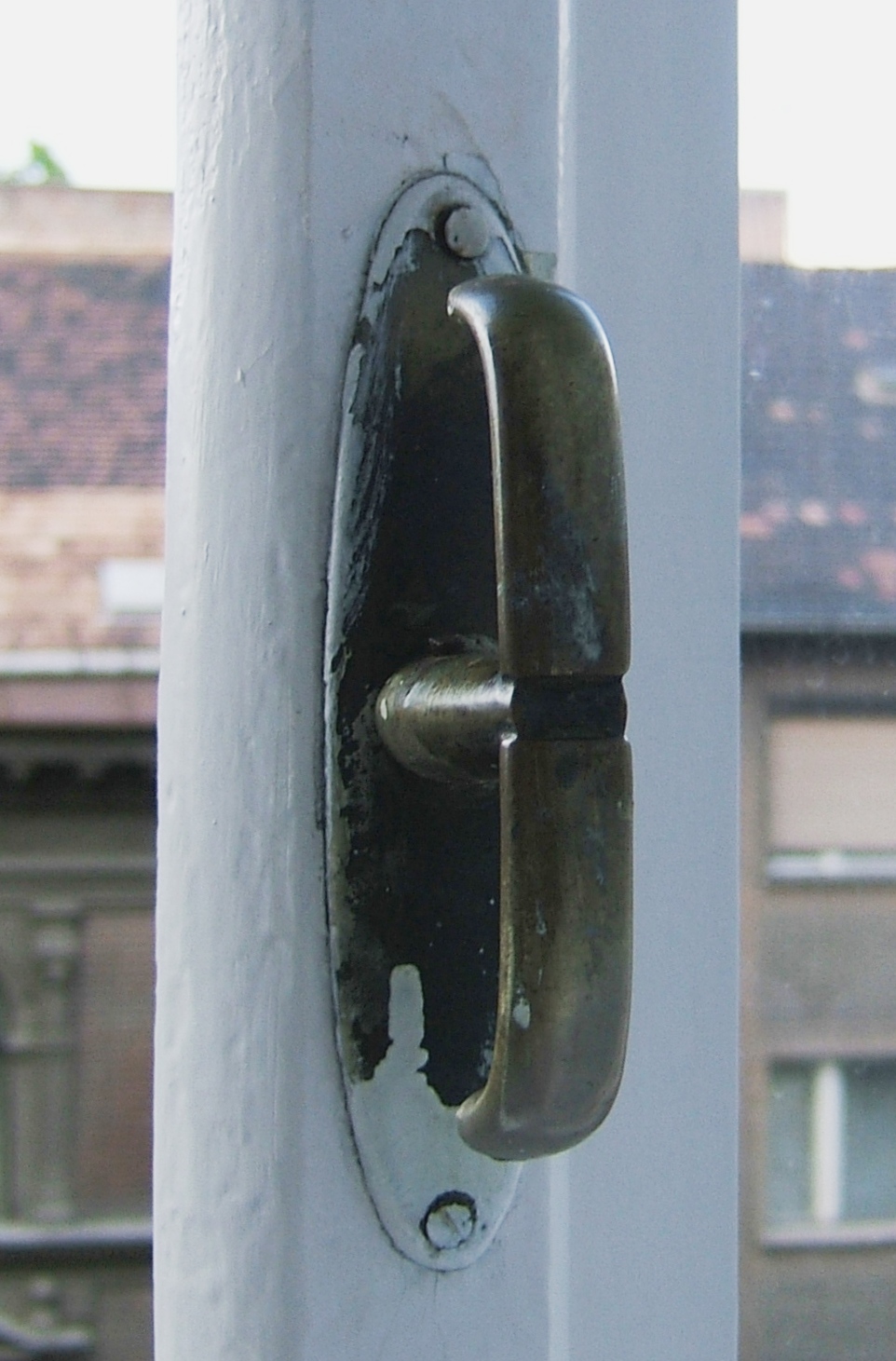 Kép