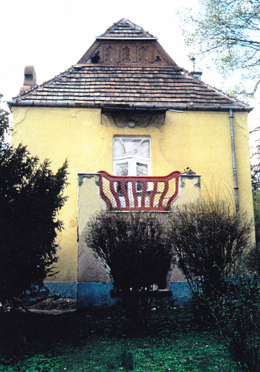 Kép