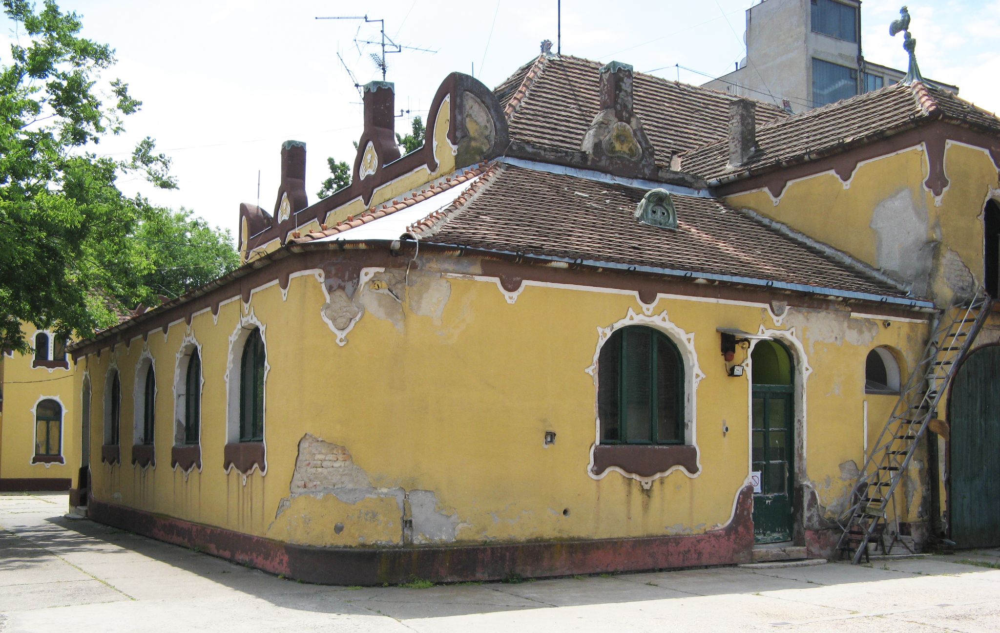 Kép