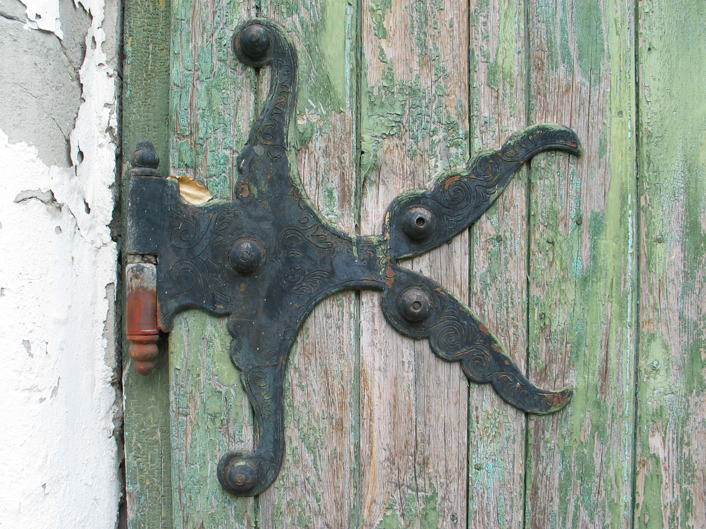 Kép