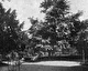 30_Múlt és Jövő 1935, 347. p.