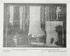 40_Múlt és Jövő, 1921/1. 9. p.